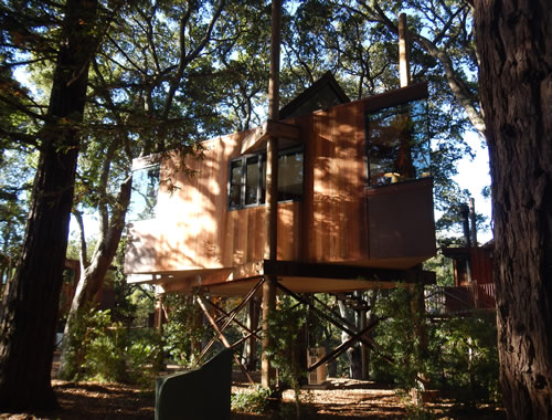 Treehouse