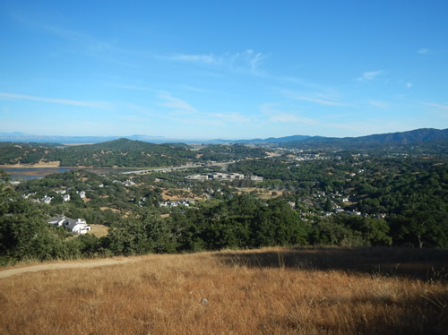 Burdell