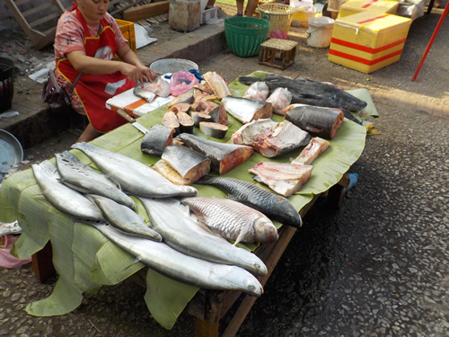 Fish