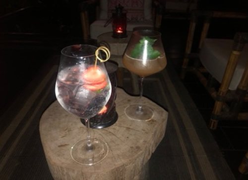 Rosewood Bar - Gin and Tonic