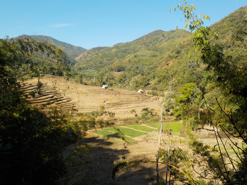 Muang La rice paddies
