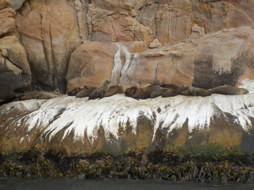 Seals