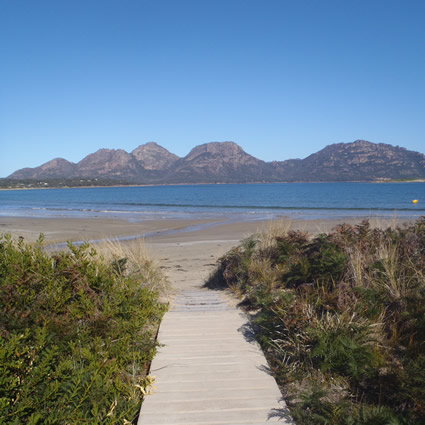 Muir's Beach