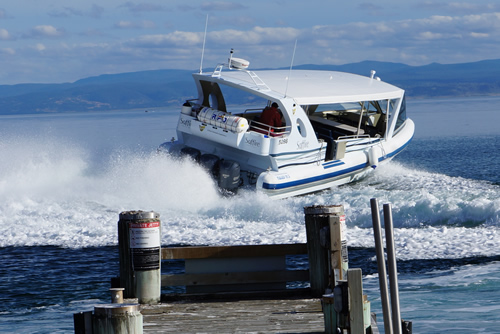 Saffire Boat