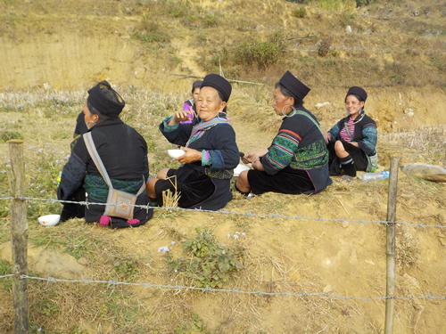 Black Hmong
