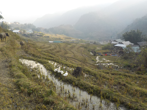 Black Hmong Village
