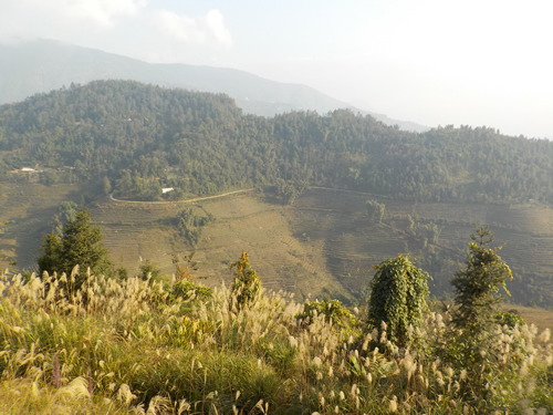 Topas Lodge