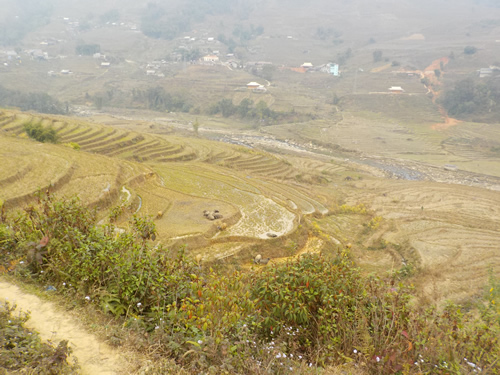 Sapa Valley