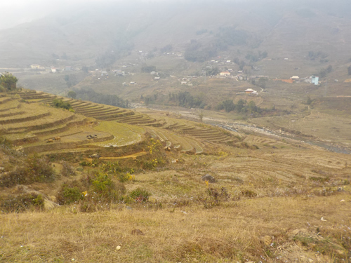 Sapa Valley