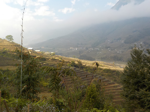 Sapa Valley