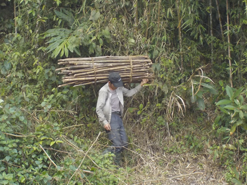 Sapa Valley