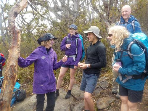 Hikers