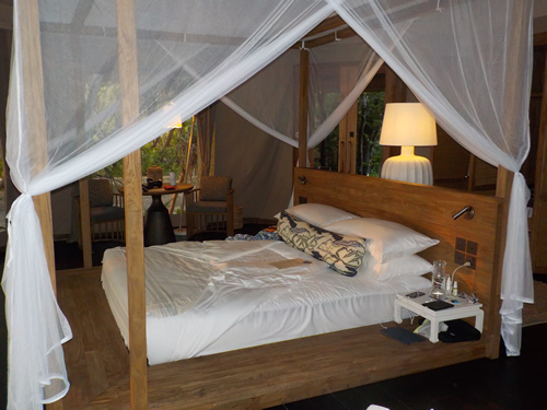 Tent