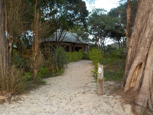 Tent in Brush