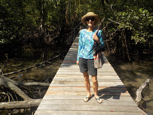 Care Boardwalk