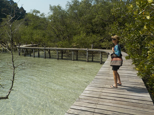Care Boardwalk