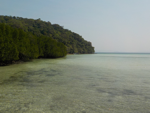 Cove