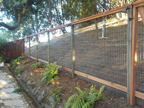 New Fence