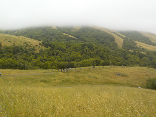 MALT Black Mountain Hike