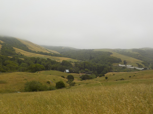 MALT Black Mountain Hike