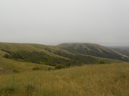 MALT Black Mountain Hike