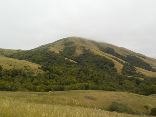 MALT Black Mountain Hike