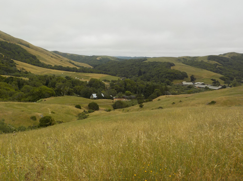 MALT Black Mountain Hike