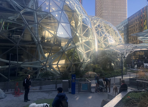 Amazon Sphere