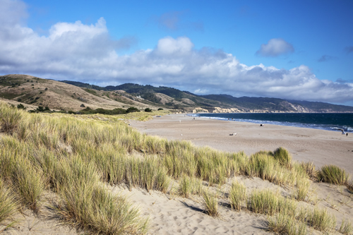 Limantour Beach