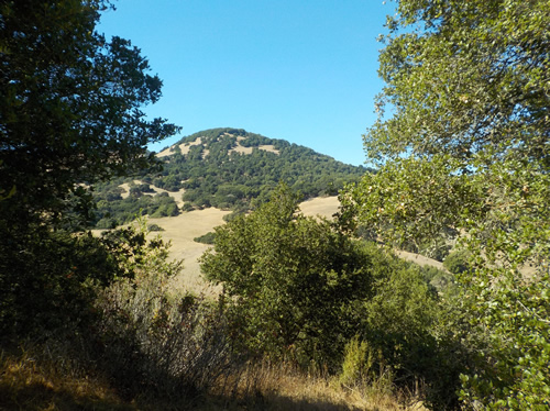 Mt. Burdell