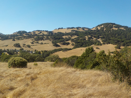 Mt. Burdell