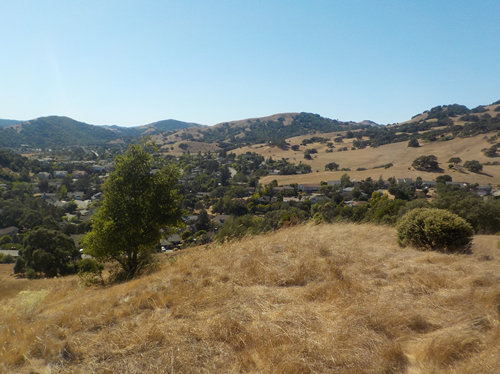 Mt. Burdell