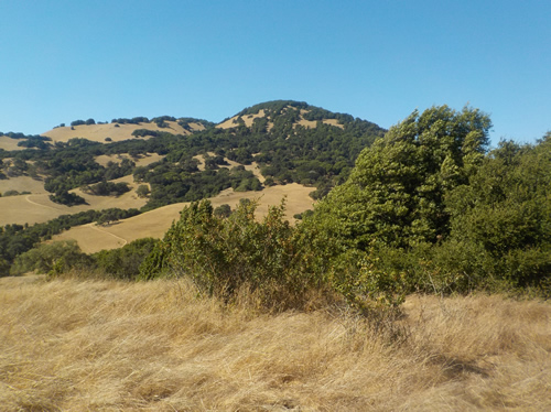 Mt Burdell