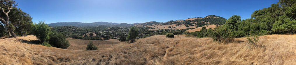 Novato Panorama