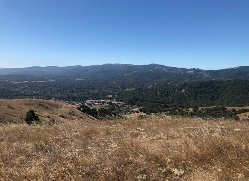 Mt. Novato