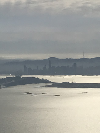 Bay Tour