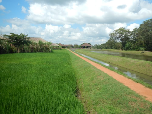 Water Garden Resort