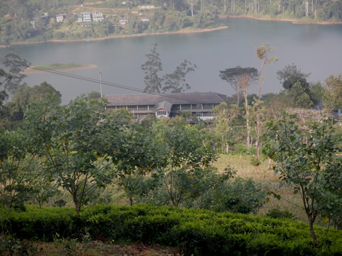 Dunkeld Tea Factory from the Dunkeld bungalow