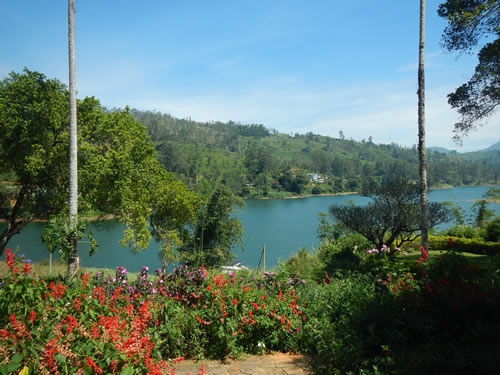 Castleigh Bungalow view