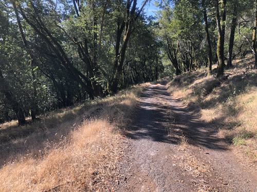 Burdell Mountain Fire Road