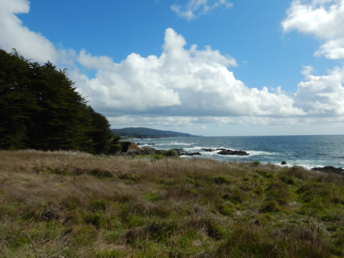 Sea Ranch