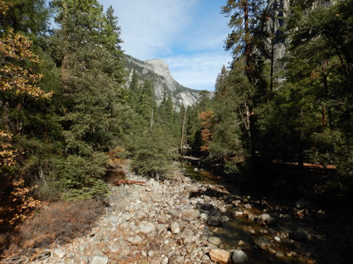 Yosemite Valley River
