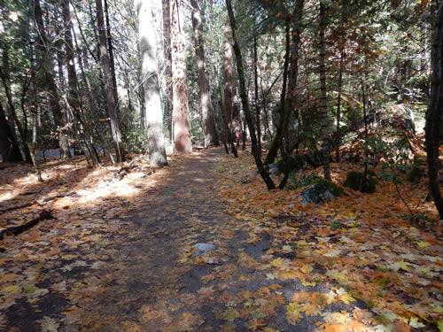 Yosemite Valley Trail