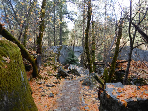 Yosemite Valley Trail