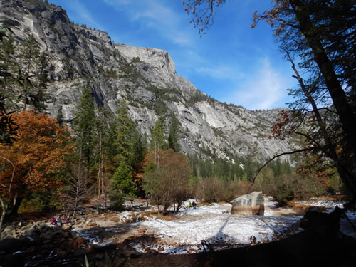 Yosemite Valley Leaves