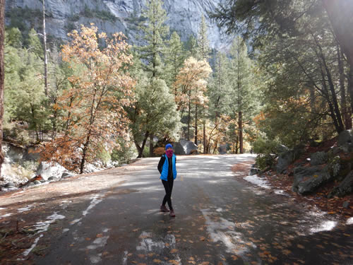 Yosemite Valley Hiker