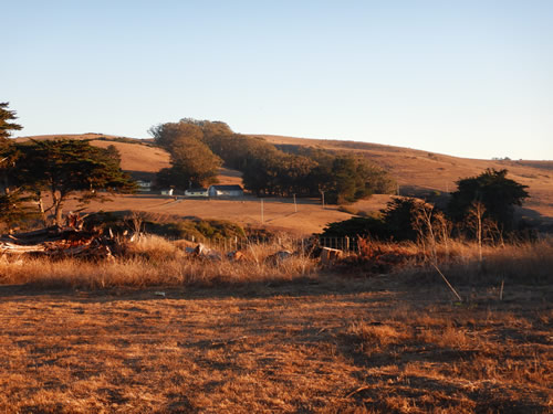 Tomales Hills