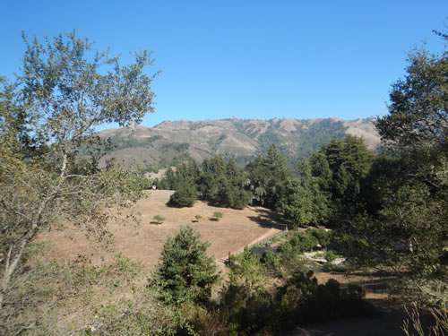 Coast Mountains