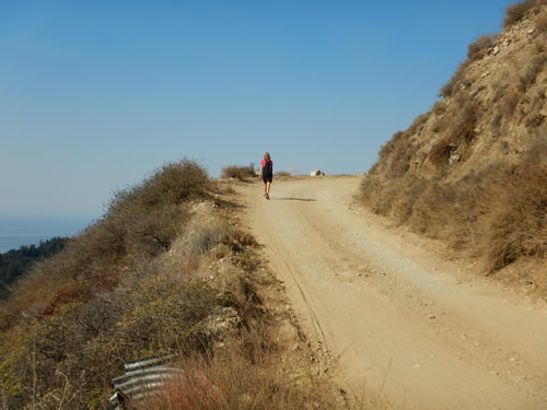 Coast Ridge Hiker