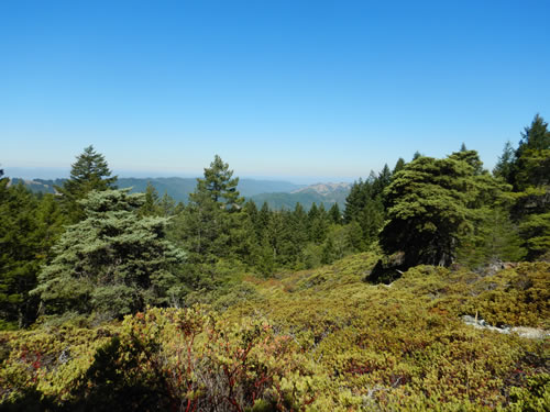 View from Northside Trail